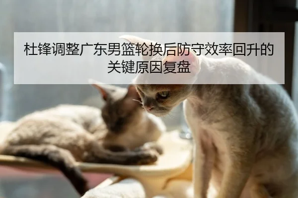 杜锋调整广东男篮轮换后防守效率回升的关键原因复盘